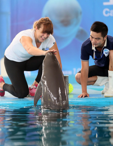 远收益影响 远收益影响