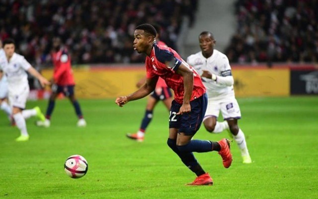 动是关注官 动是关注官